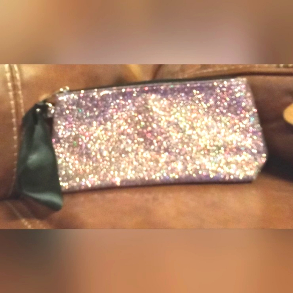 Mary Kay holiday make up bag